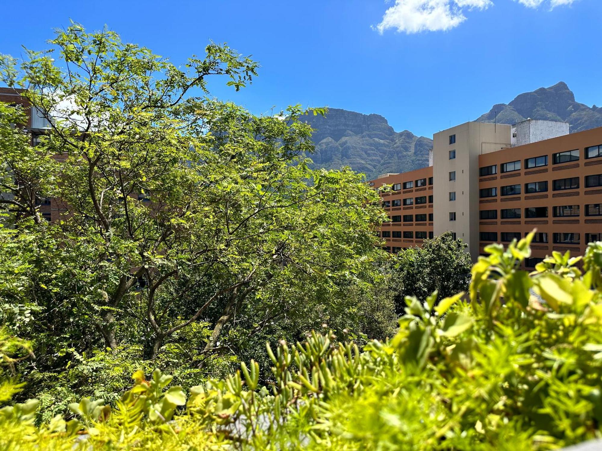 Newlands Peak Apartments Ciudad del Cabo Exterior foto